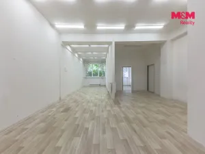 Pronájem komerční nemovitosti, Zdiby - Přemyšlení, U Továrny, 175 m2
