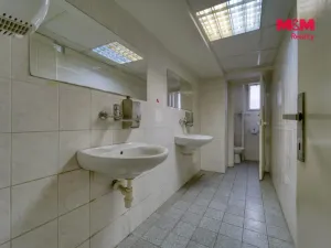 Pronájem obchodního prostoru, Plzeň - Východní Předměstí, Americká, 1603 m2