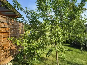 Prodej rodinného domu, Cerekvička-Rosice - Cerekvička, 109 m2