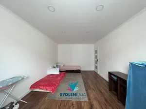 Prodej bytu 2+1, Krupka, Karla Čapka, 63 m2
