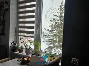 Pronájem bytu 2+1, Krupka, Sídliště, 55 m2