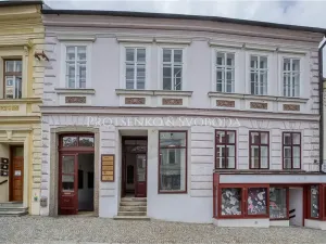 Pronájem kanceláře, Třebíč, Hasskova, 127 m2