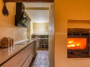 Prodej vícegeneračního domu, Pavlov, 354 m2