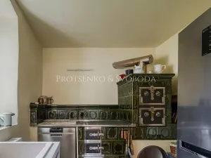Prodej vícegeneračního domu, Pavlov, 354 m2
