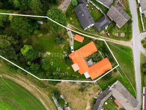 Prodej vícegeneračního domu, Pavlov, 354 m2