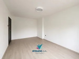 Prodej bytu 2+1, Teplice, V břízkách, 49 m2
