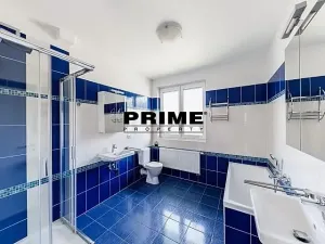 Pronájem rodinného domu, Průhonice, Pod Valem II., 350 m2
