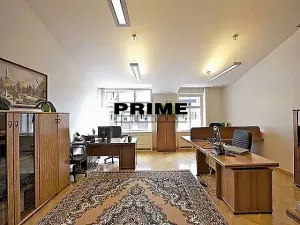 Pronájem kanceláře, Praha - Nové Město, Václavské náměstí, 466 m2