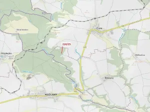 Dražba lesa, Břežany, 198 m2