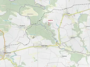 Dražba lesa, Břežany, 833 m2