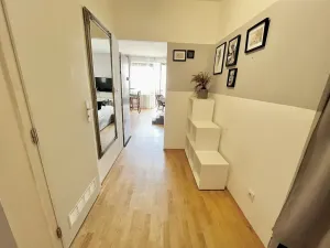 Prodej bytu 1+kk, České Budějovice - České Budějovice 2, Spojovací, 35 m2