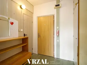 Pronájem bytu 1+kk, Plzeň, Ledecká, 39 m2