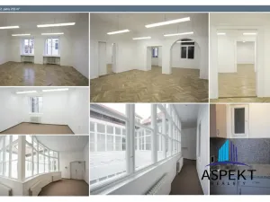 Pronájem kanceláře, Praha - Malá Strana, Sněmovní, 255 m2