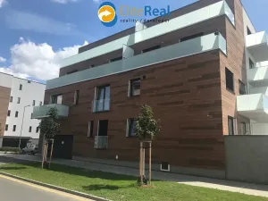 Pronájem bytu 1+kk, Olomouc, Třída Jiřího Pelikána, 32 m2