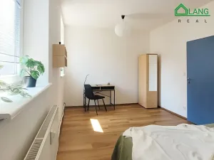 Pronájem bytu 1+kk, Brno, Cejl, 24 m2