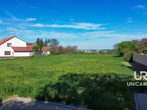 Prodej pozemku, Sokolnice, 6046 m2