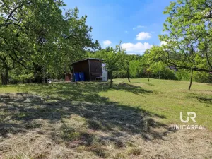Prodej pole, Židlochovice, 3851 m2