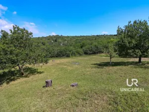 Prodej pole, Židlochovice, 3851 m2