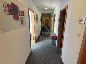 Pronájem kanceláře, České Budějovice, Fráni Šrámka, 250 m2