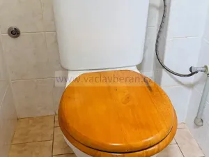 Prodej bytu 2+kk, Česká Třebová, Masarykova, 58 m2