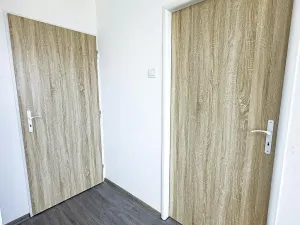 Prodej bytu 1+1, Teplice, Jana Koziny, 41 m2