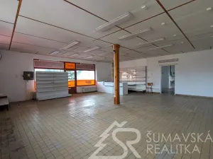 Prodej obchodního prostoru, Žihobce, 330 m2