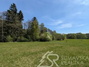 Prodej pozemku, Soběšice, 8869 m2