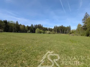 Prodej pozemku, Soběšice, 8869 m2