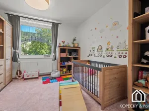Prodej bytu 3+1, Ústí nad Labem, Anežky České, 73 m2