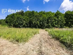 Prodej pozemku pro bydlení, Velemín, 5381 m2