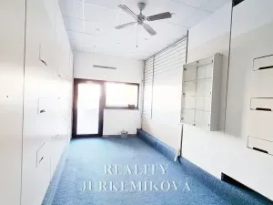 Pronájem obchodního prostoru, České Budějovice, Strádova, 22 m2