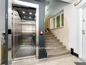 Prodej bytu 4+kk, Praha - Žižkov, Viklefova, 100 m2
