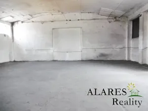 Pronájem skladu, Velký Osek, 195 m2