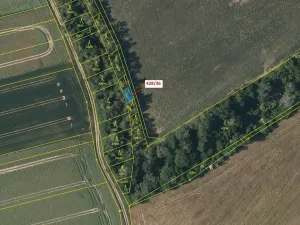 Dražba lesa, Břežany, 68 m2