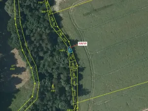 Dražba lesa, Břežany, 21 m2