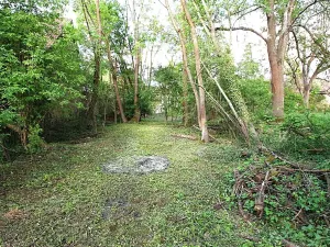 Prodej domu, Svinaře, Obecní, 100 m2