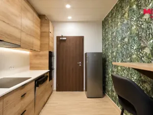 Prodej ubytování, Slavonice, Nádražní, 440 m2