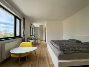 Pronájem bytu 1+kk, Písek - Pražské Předměstí, Pražská, 36 m2