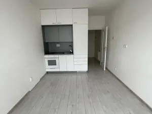 Pronájem bytu 1+kk, České Budějovice - České Budějovice 3, Jírovcova, 35 m2