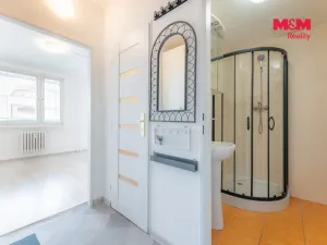 Prodej bytu 1+kk, Praha - Žižkov, Za žižkovskou vozovnou, 43 m2