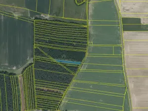 Prodej lesa, Slabčice - Nemějice, 1272 m2