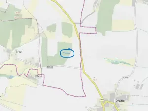 Prodej lesa, Slabčice - Nemějice, 1272 m2