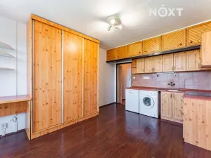 Prodej bytu 1+kk, Zábřeh, 28. října, 19 m2