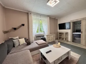 Prodej bytu 2+1, Teplice, Zrenjaninská, 52 m2