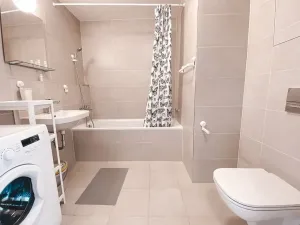 Pronájem bytu 1+kk, Praha - Žižkov, Olgy Havlové, 45 m2