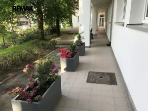 Pronájem bytu 5+kk, Praha - Hodkovičky, Údolní, 182 m2