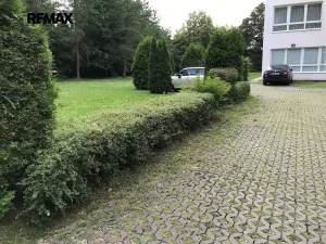 Pronájem bytu 5+kk, Praha - Hodkovičky, Údolní, 182 m2