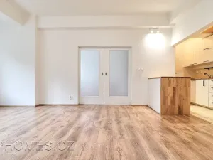 Pronájem bytu 2+kk, Praha - Žižkov, Biskupcova, 46 m2