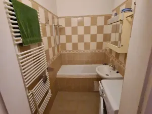 Pronájem pokoje, Praha - Vinohrady, Mánesova, 14 m2
