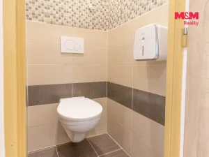 Prodej bytu 2+1, Slaný, Wilsonova, 53 m2